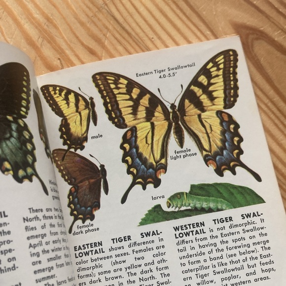 Set of 3 Vintage Golden Nature Guides - Picture 9 of 9